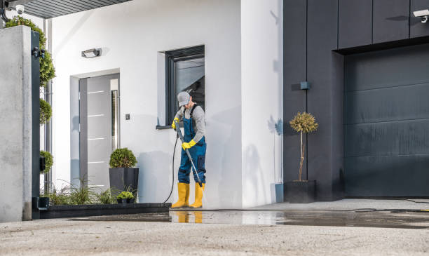 Best Building Exterior Washing  in West Hurley, NY